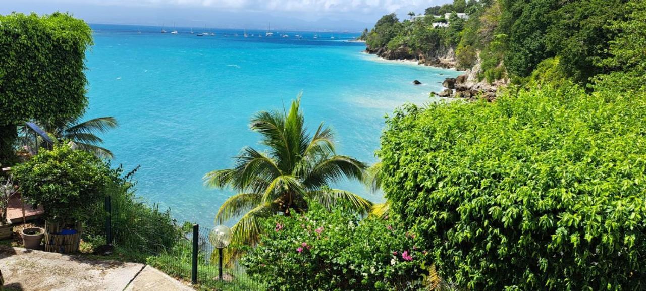 Vue Mer, Piscine, Appartement 4 Personnes Le Gosier (Grande-Terre) Exterior foto